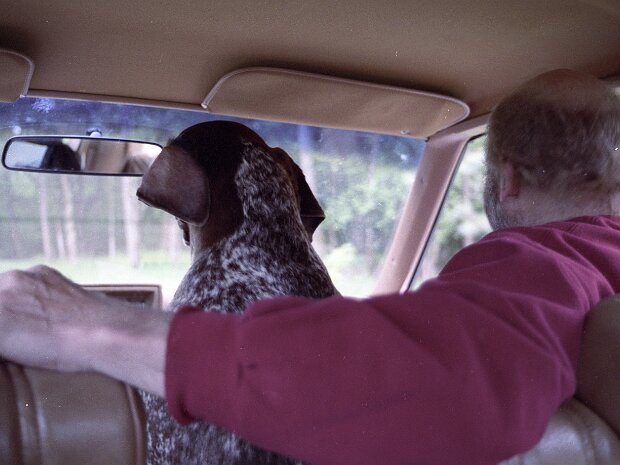1991-xx-xx - Petting Zoo